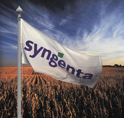 Syntegra flag